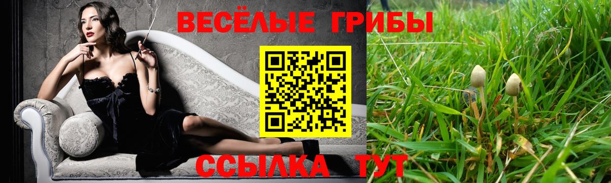 Галлюциногенные грибы GOLDEN TEACHER Арзамас